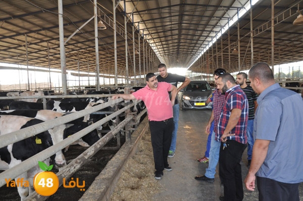 3ojojl shamal (1).JPG